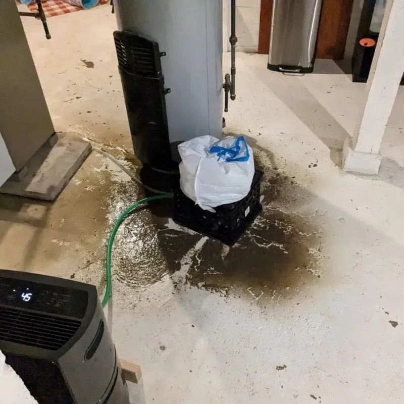 Sewage Backup Cleanup Service in Waterloo, NY